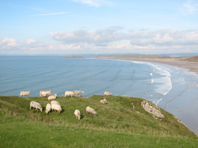 e0021328_23765.jpg