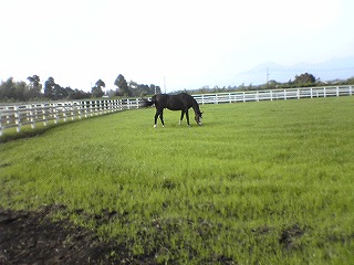 c0038334_21461366.jpg
