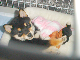 a0052750_1003933.jpg