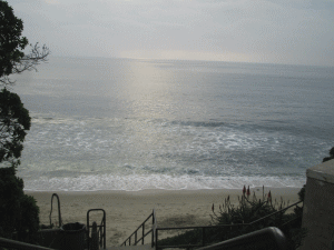 b0035453_18382397.gif