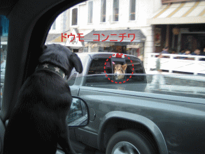 b0035453_18584971.gif