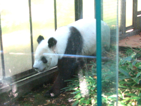 b0036053_23485624.jpg