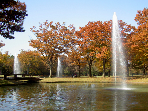 都会の公園も色づいてきたよ♪_a0003259_16561236.jpg