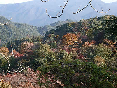 妙義　～秋の妙義山　　2005.11.05～_b0017873_1663243.jpg