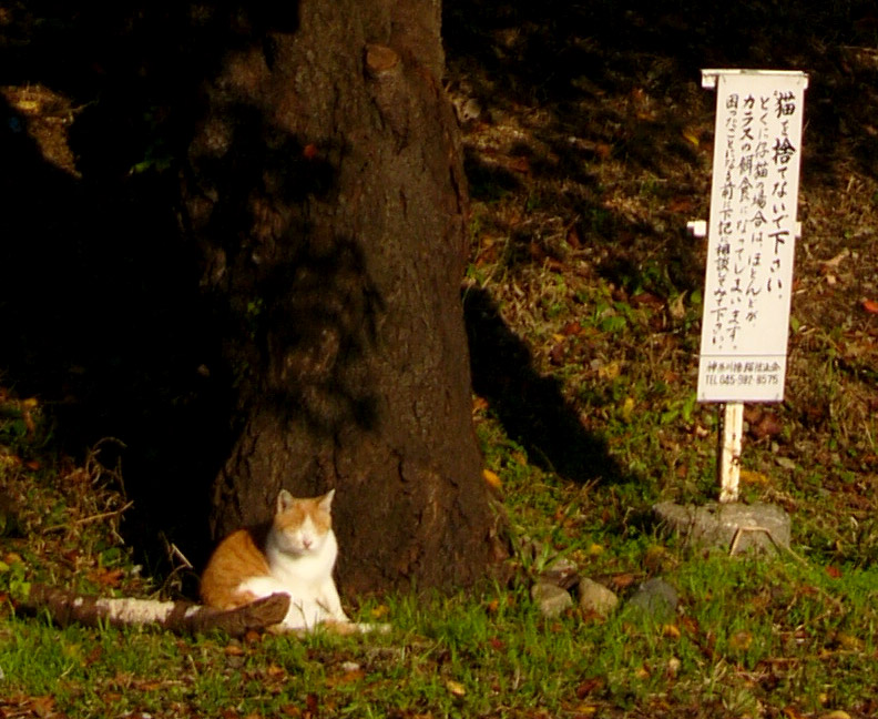 生き物は大切に_b0068186_21404399.jpg