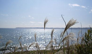 c0035386_2347496.jpg