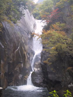 e0046588_18314845.jpg