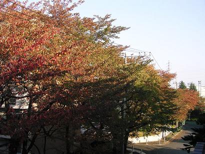 a0009005_8353262.jpg