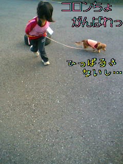 d0046905_17165195.jpg