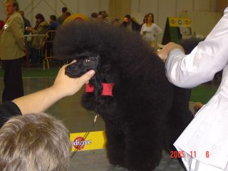 e0039206_2028227.jpg
