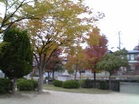 d0014909_23485577.jpg