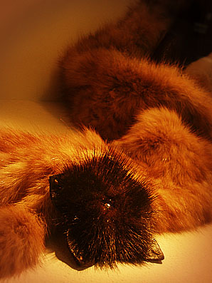 e0009009_2310060.jpg
