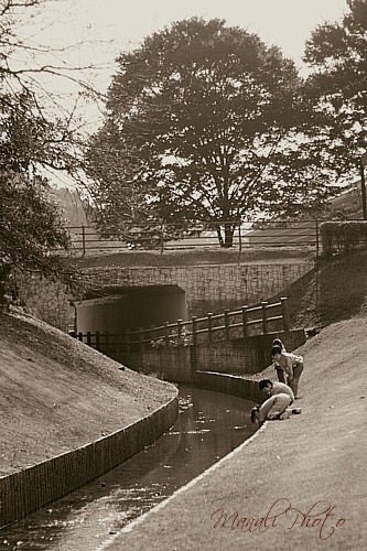 e0080212_14201771.jpg