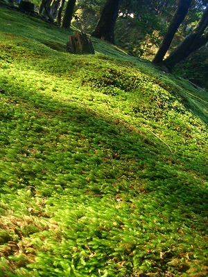 e0015828_029285.jpg