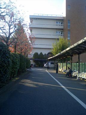 e0069433_23324722.jpg