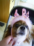 c0048940_2204749.jpg