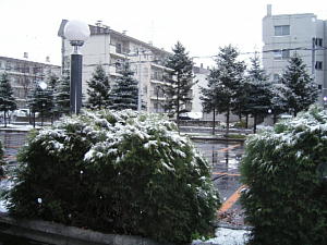e0000946_222115.jpg