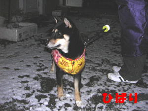 e0000946_22374883.jpg