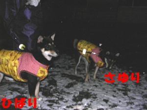 e0000946_22411265.jpg