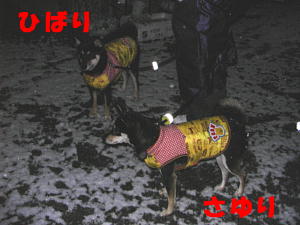e0000946_22413968.jpg