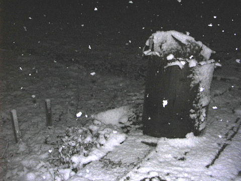 e0000946_22424434.jpg