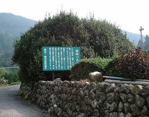 静岡近代茶業の源流を辿る・Green Tea Tourism _d0022550_1721790.gif