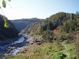 d0048350_229595.jpg