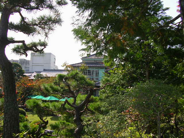 e0086378_813558.jpg