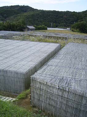 c0048685_200422.jpg