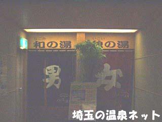 こだま温泉ファミリープラザ（本庄市）_a0055786_7432786.jpg