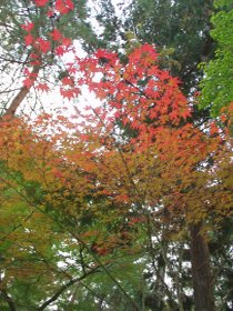 南禅寺の紅葉_d0015588_02265.jpg