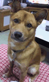 c0025593_11414376.gif