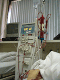 b0043506_2203898.gif