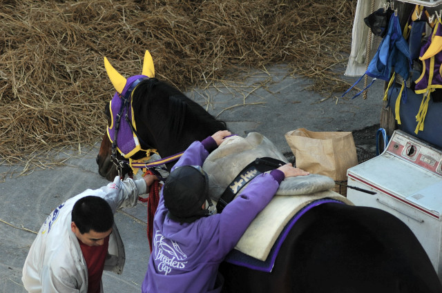 大井競馬場の辺り_c0047919_10105268.jpg