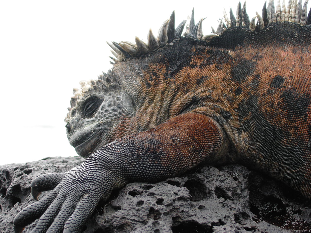 d0035721_842122.jpg