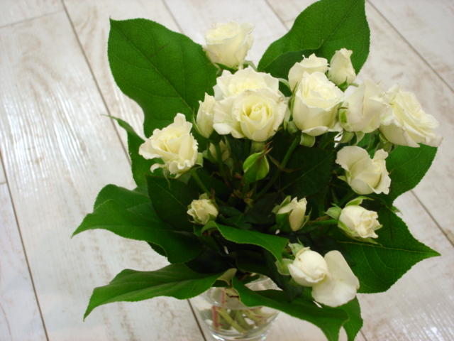 d0060828_235821100.jpg