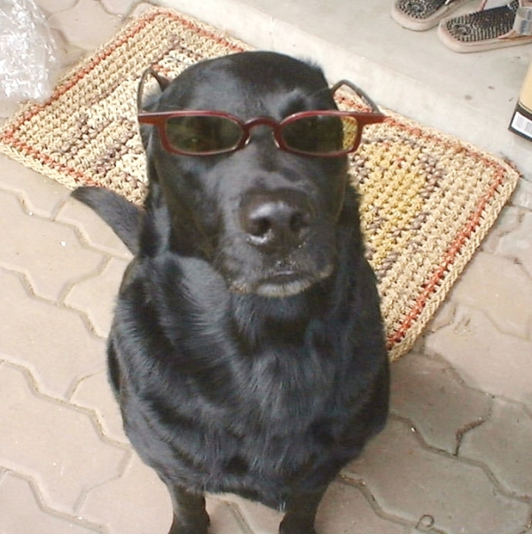 c0039145_12502310.jpg