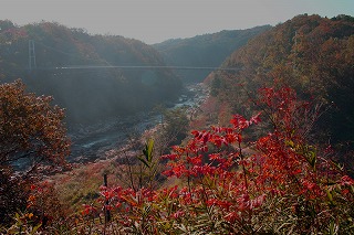 d0048350_22424575.jpg