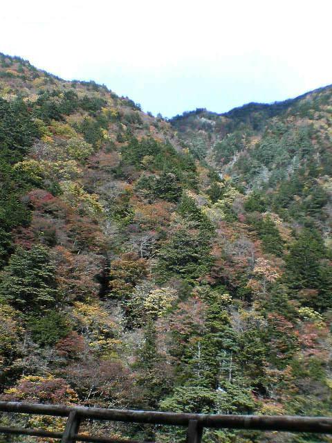 e0032163_1215675.jpg
