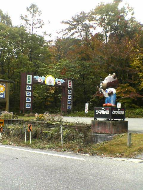 e0032163_1231884.jpg