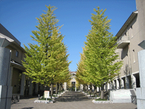 b0061376_23102744.gif