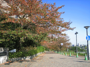 b0061376_23134471.gif