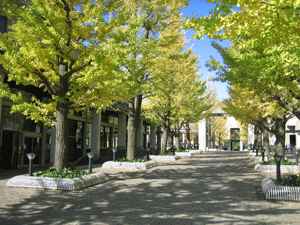 b0061376_2315205.gif