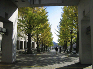 b0061376_23183614.gif