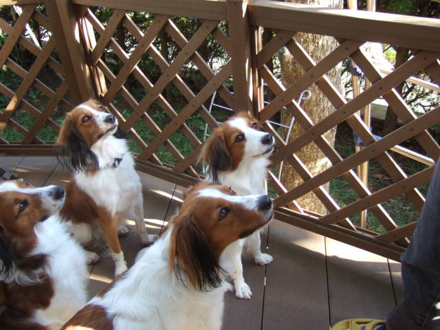 c0075585_1115833.jpg