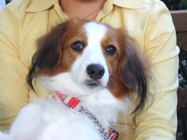 c0075585_1394070.jpg