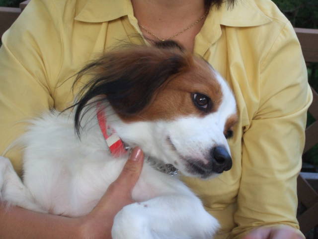 c0075585_1403823.jpg