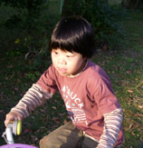c0035386_017435.jpg