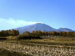 ポカポカの贈り物_d0028589_20394630.jpg