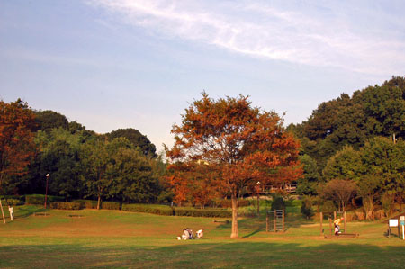 b0037498_0364249.jpg